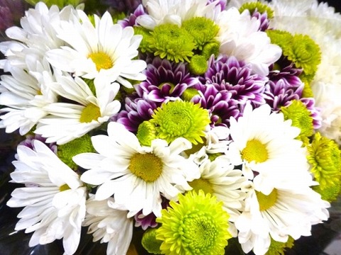 8724e699bc10aae2988100866602cf2c_s