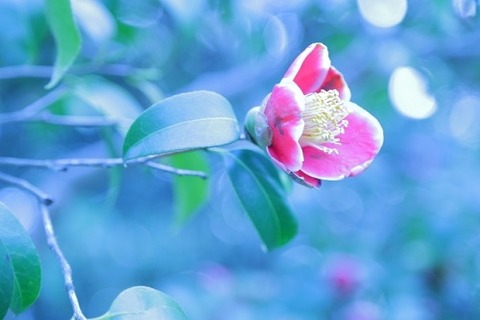 48c0f40ebe2cc993ef3f97ea0289f9f0_s