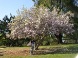 14a0ac8a.jpg