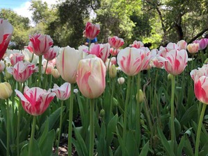 IMG_1385