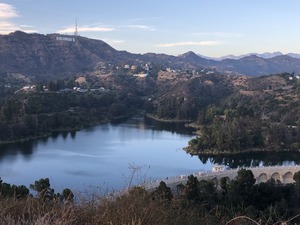 IMG_4400