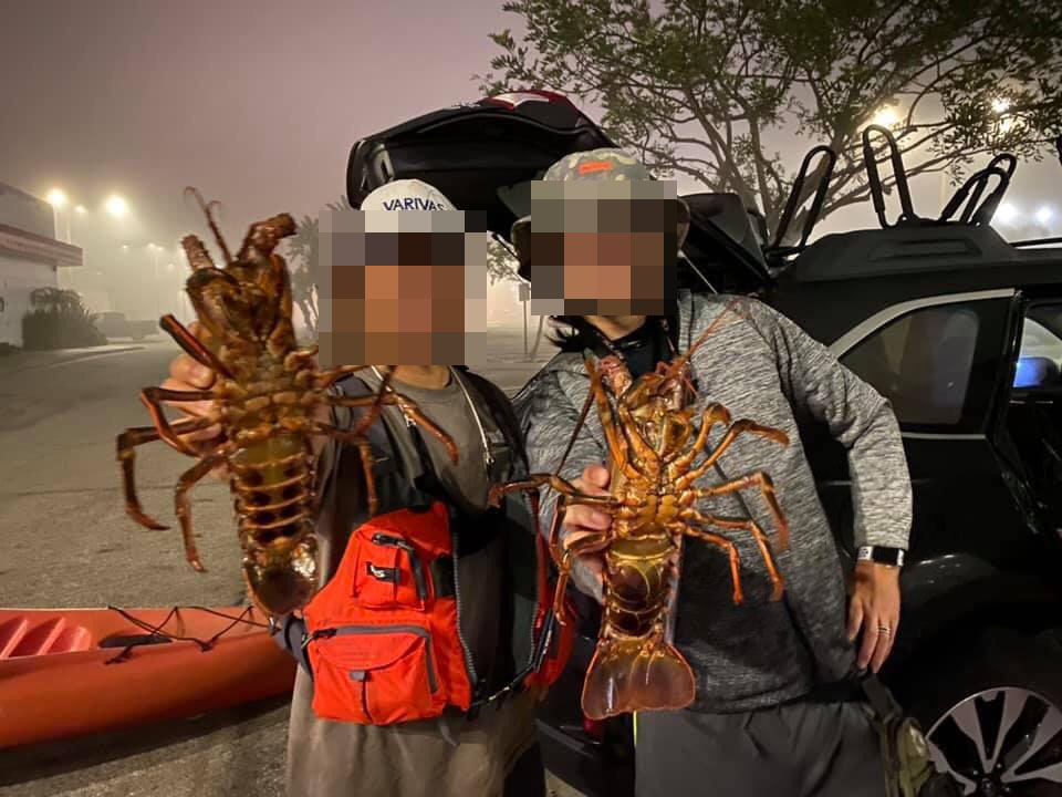 ロブスター解禁 Welcom2 Com