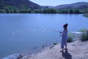 IMG_3084