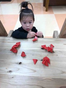 IMG_0546
