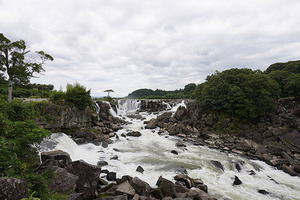 DSC08991