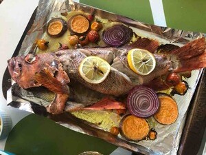 IMG_0393