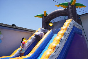 DSC04981