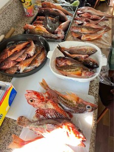 IMG_8062