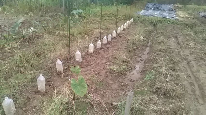 国道173号で2箇所の通行止め まるあん菜園 国道173号で2箇所の通行止め まるあん菜園