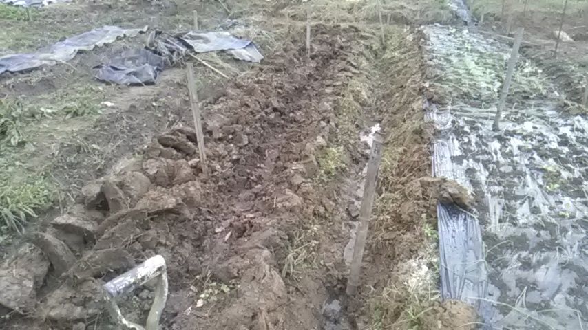 国道173号で2箇所の通行止め まるあん菜園 国道173号で2箇所の通行止め まるあん菜園