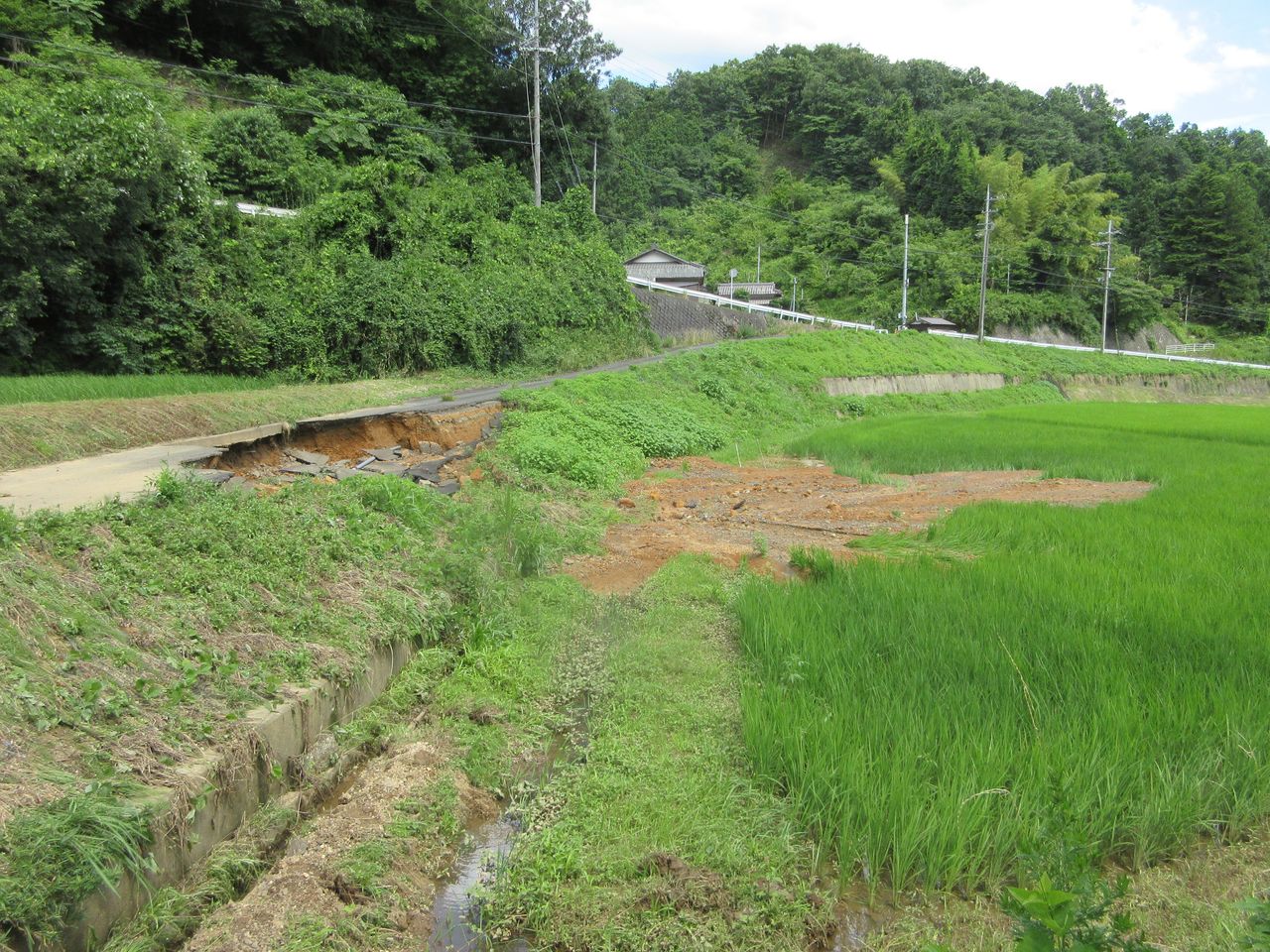 ボランティア予定 また国道173号2箇所の通行止め その2 まるあん菜園 ボランティア予定 また国道173号2箇所の通行止め その2 まるあん菜園