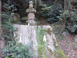 030f980b.jpg