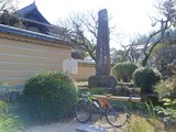 09314a58.jpg