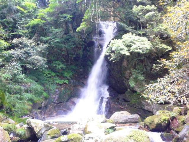 花乱の滝 風に吹かれて
