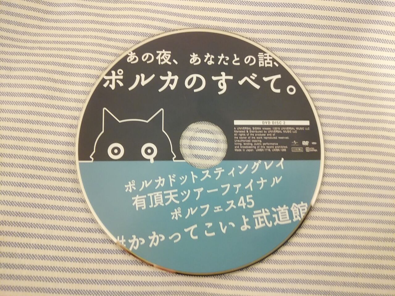 かかってこいよ武道館 ポルカドットスティングレイ 風に吹かれて