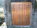 2af36248.jpg