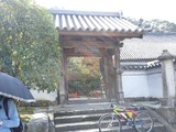 31831b6c.jpg