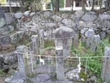 47cd0d99.jpg