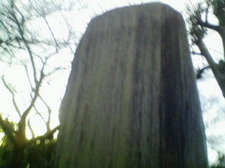 出羽海の墓 風に吹かれて