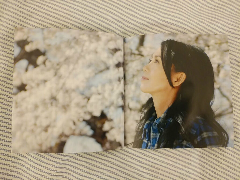 Expressions 竹内まりや 風に吹かれて