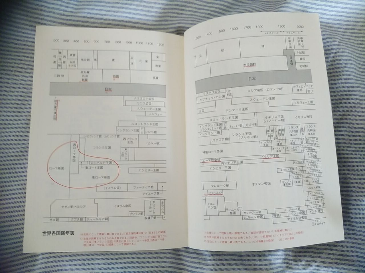 中学歴史 平成30年度文部科学省検定 不合格教科書 竹田恒泰著