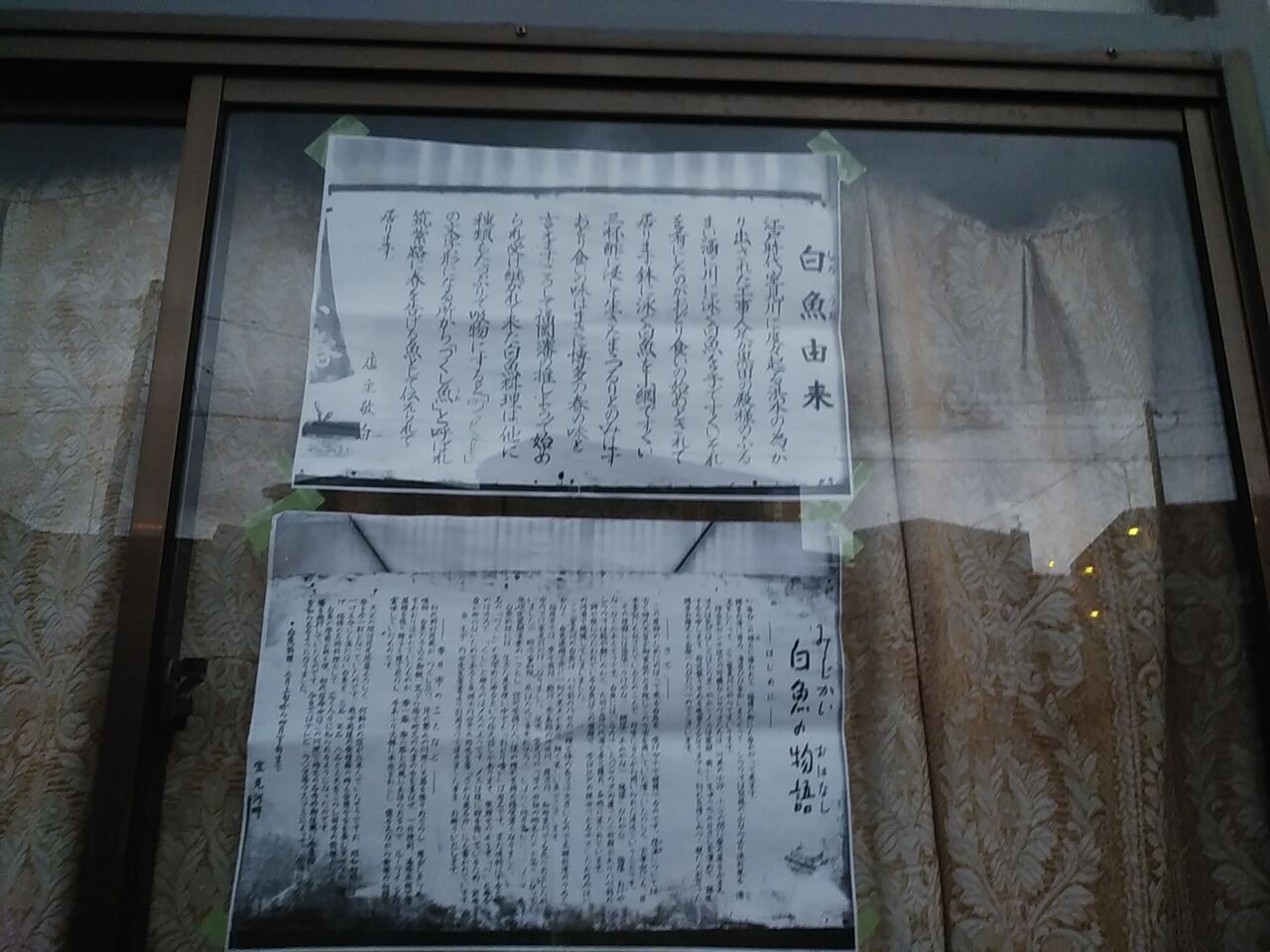 室見川のシロウオ漁 風に吹かれて