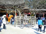 945b44ec.jpg