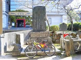 bdddc625.jpg