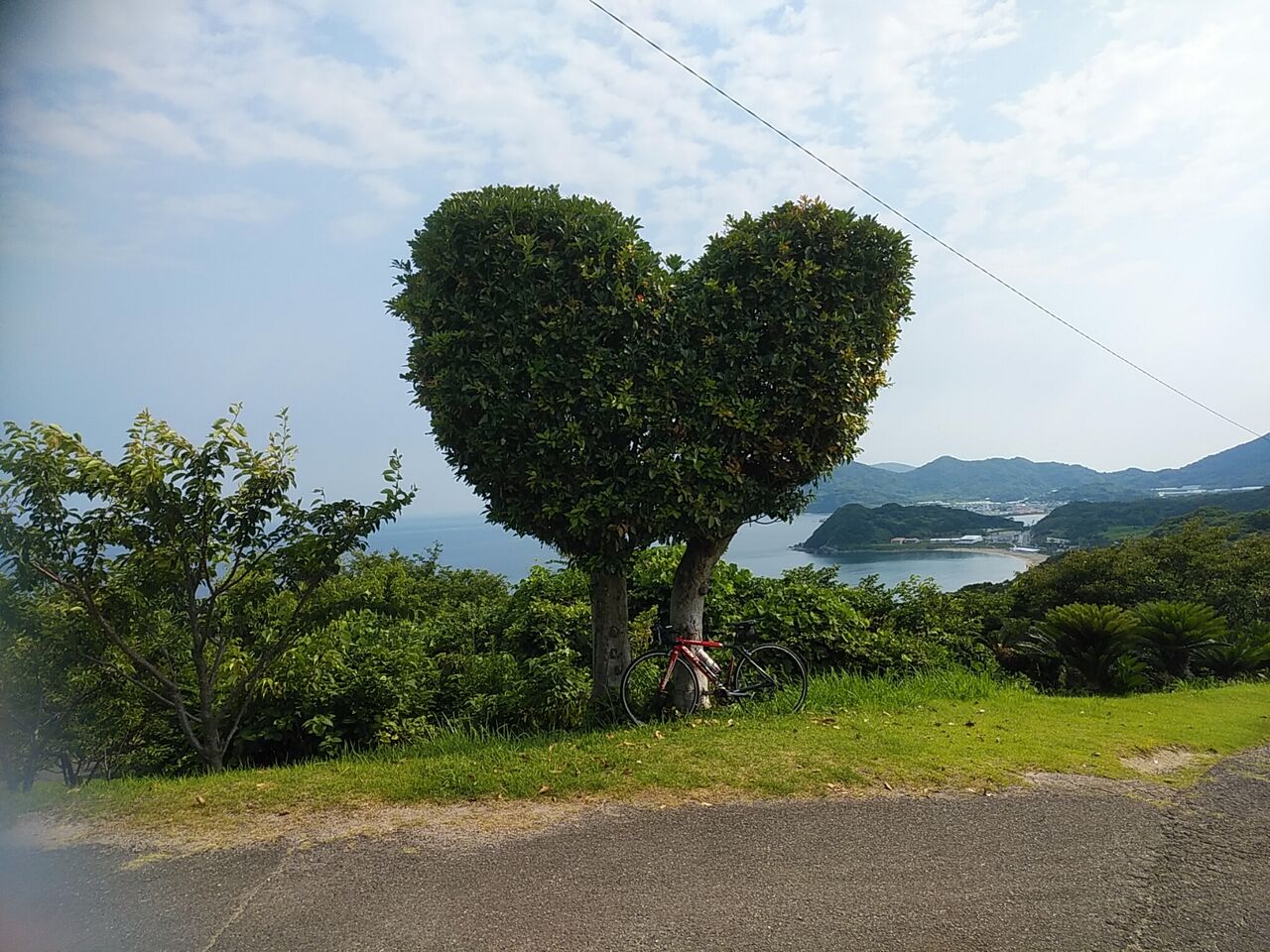 糸島ハートの木 風に吹かれて 糸島ハートの木 風に吹かれて