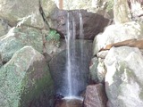 c167a64f.jpg
