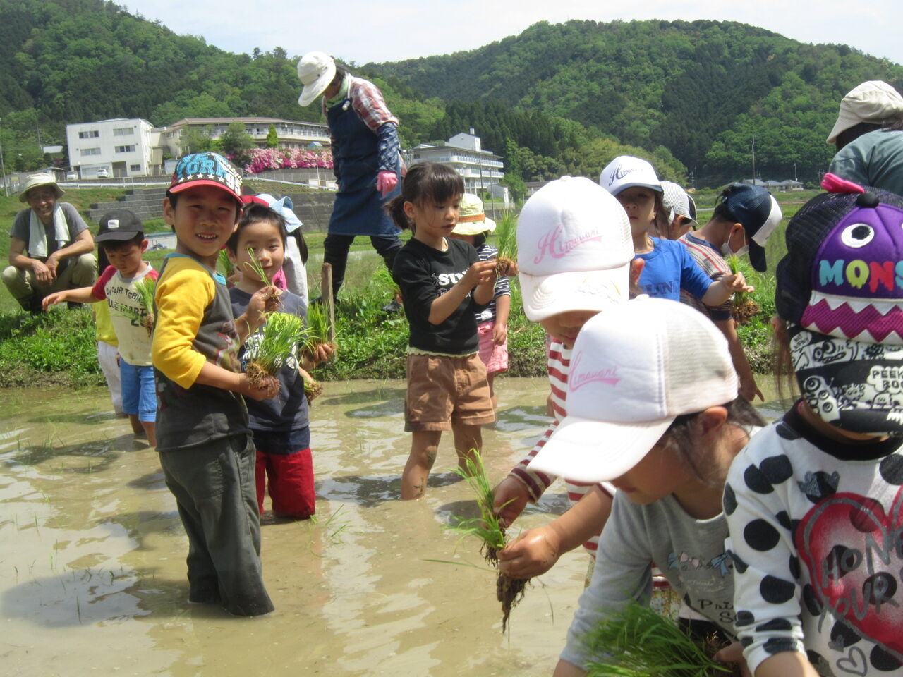 田植え体験 綾部ひまわり共同保育園