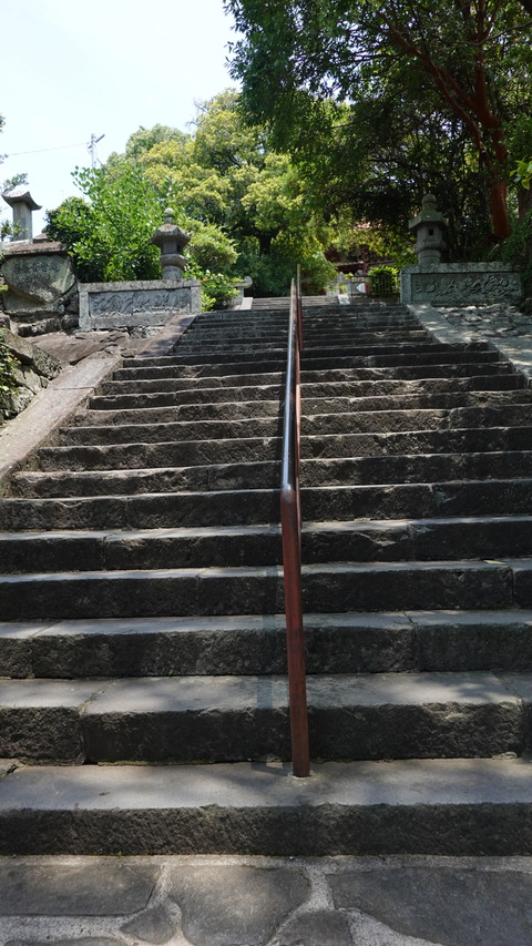 DSC03098