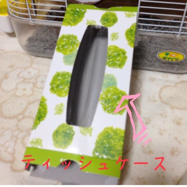 ハムスター 日記