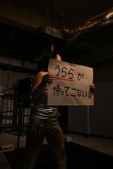 ZFB_2313