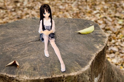 test5