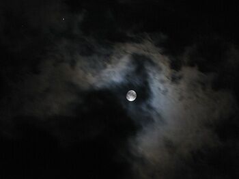 十三夜 With 金星 パピルスの森