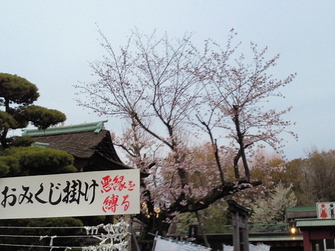 20110408fukagawahudou