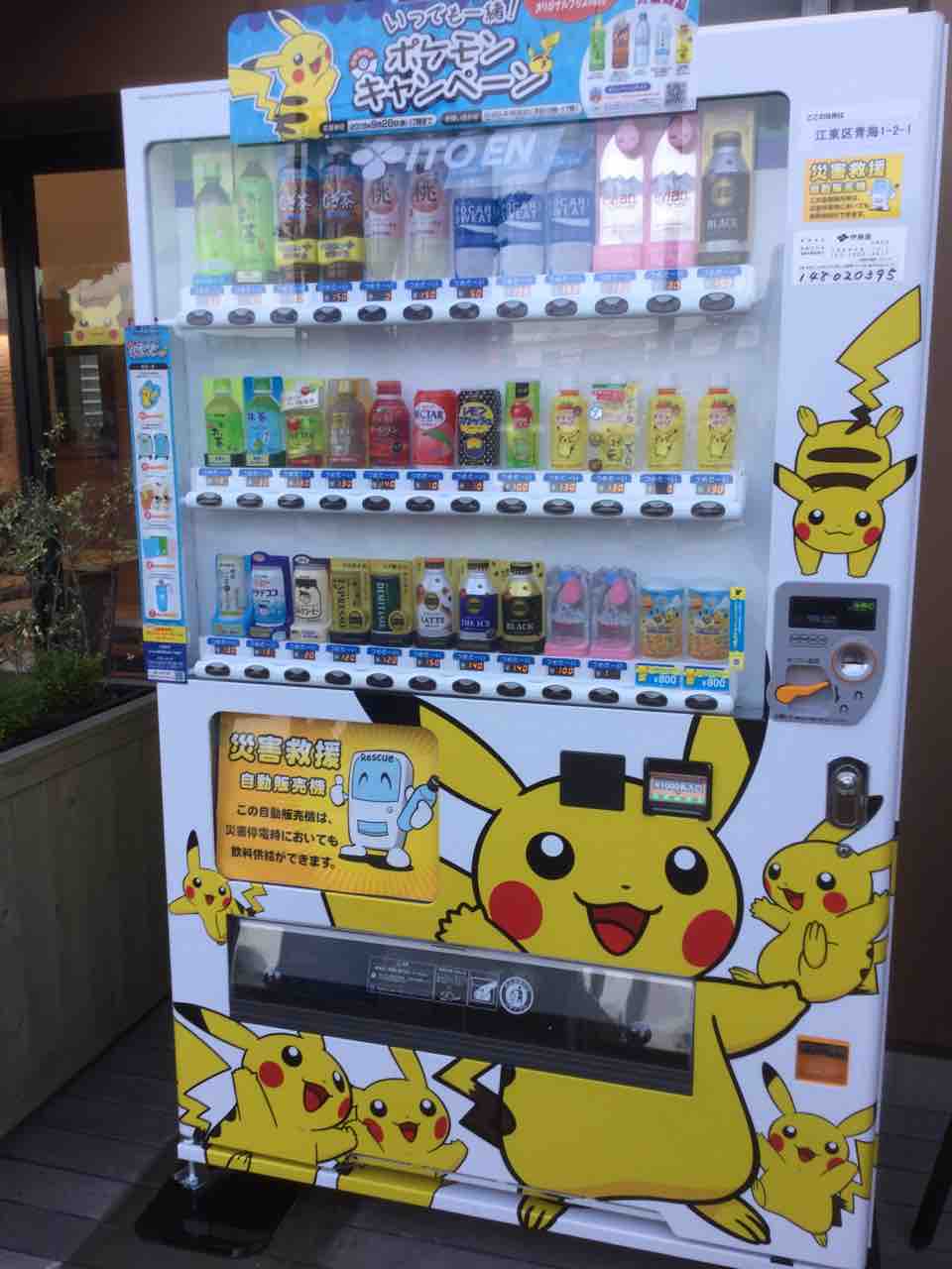 スカイダックのトワイライト運行 夏季限定ピカチュウラッピングスタート 鈴木あやこ 鈴木綾子 Official Web Site 江東区政に 働く女性 の目線を