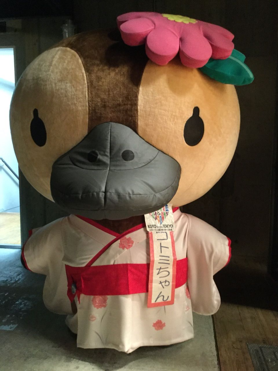 18年01月09日 鈴木あやこ 鈴木綾子 Official Web Site 江東区政に 働く女性 の目線を 18年01月09日 鈴木あやこ 鈴木綾子 Official Web Site 江東区政に 働く女性 の目線を