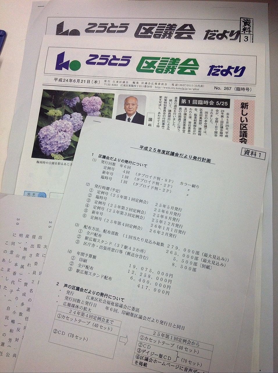 区議会広報委員会と区議会だより 鈴木あやこ 鈴木綾子 Official Web Site 江東区政に 働く女性 の目線を