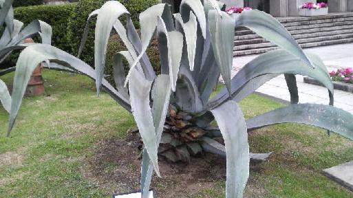 2010050917220000