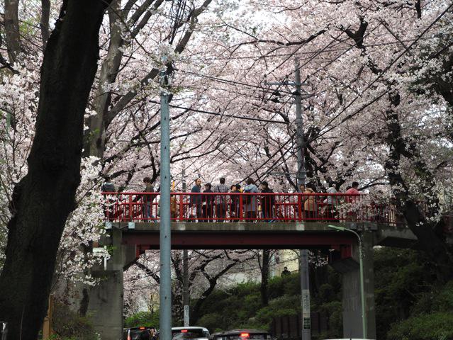 16年4月3日 桜坂 大田区 なんかいいとこ いいトリップ