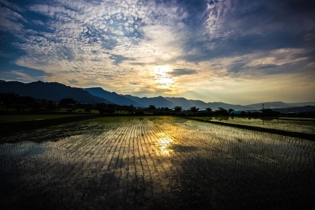 kumamoto