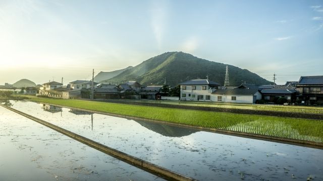 田舎お盆帰省里帰り