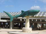 083c11d9.jpg