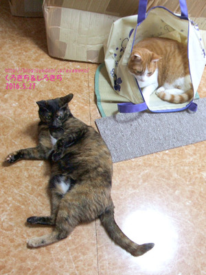 2016ǯ5��27���ؤ̤���󤺡٥���å���������ܤǸ���ޤ�