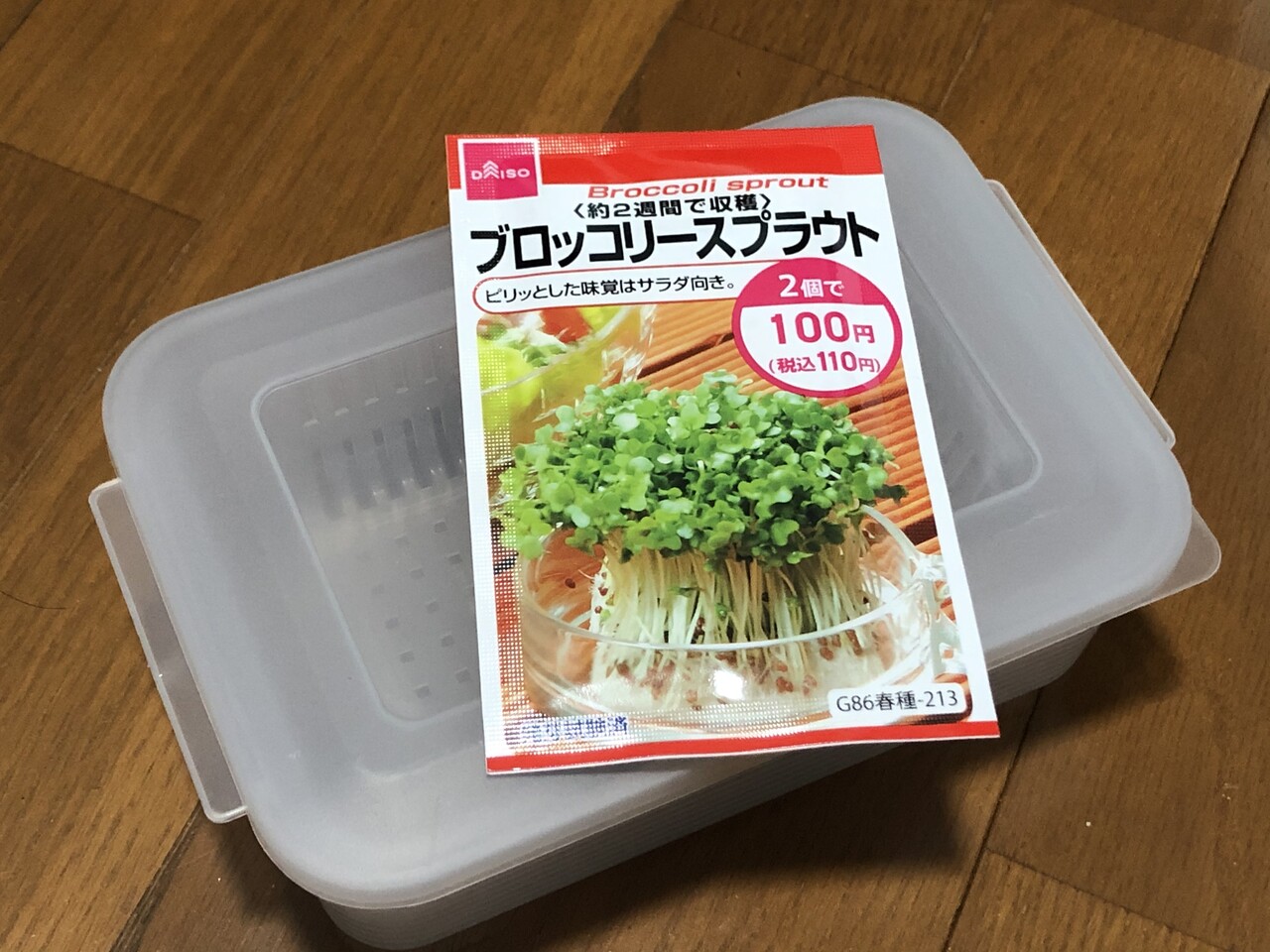 百均様様 ブロッコリースプラウト 彩恵のベランダ菜園日記 百均様様 ブロッコリースプラウト 彩恵のベランダ菜園日記