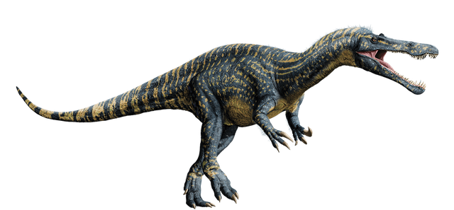Suchomimus-detail-header