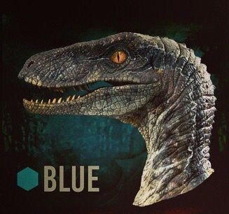 Raptor_squad_Blue_header_icon
