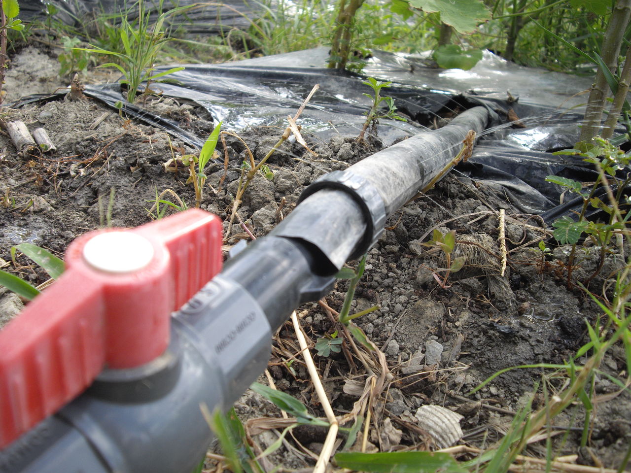 潅水チューブ 後入れ 沖縄農的生活